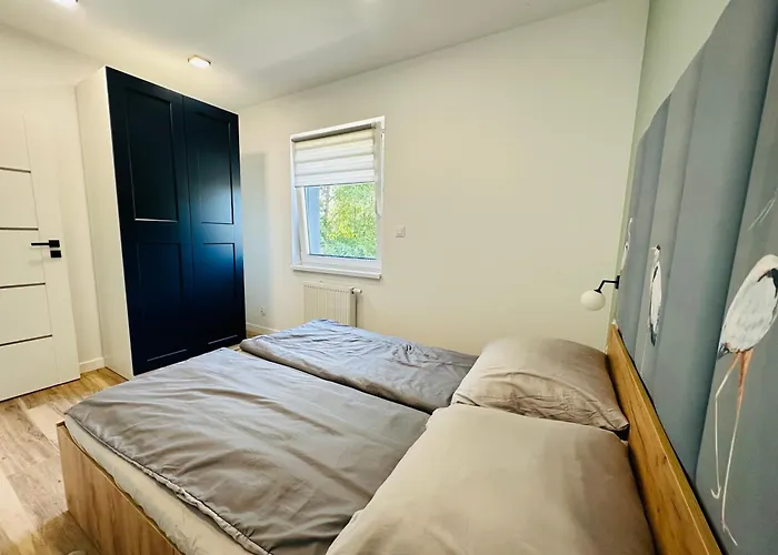 Apartamenty Debowa 8 Lesny Zakatek